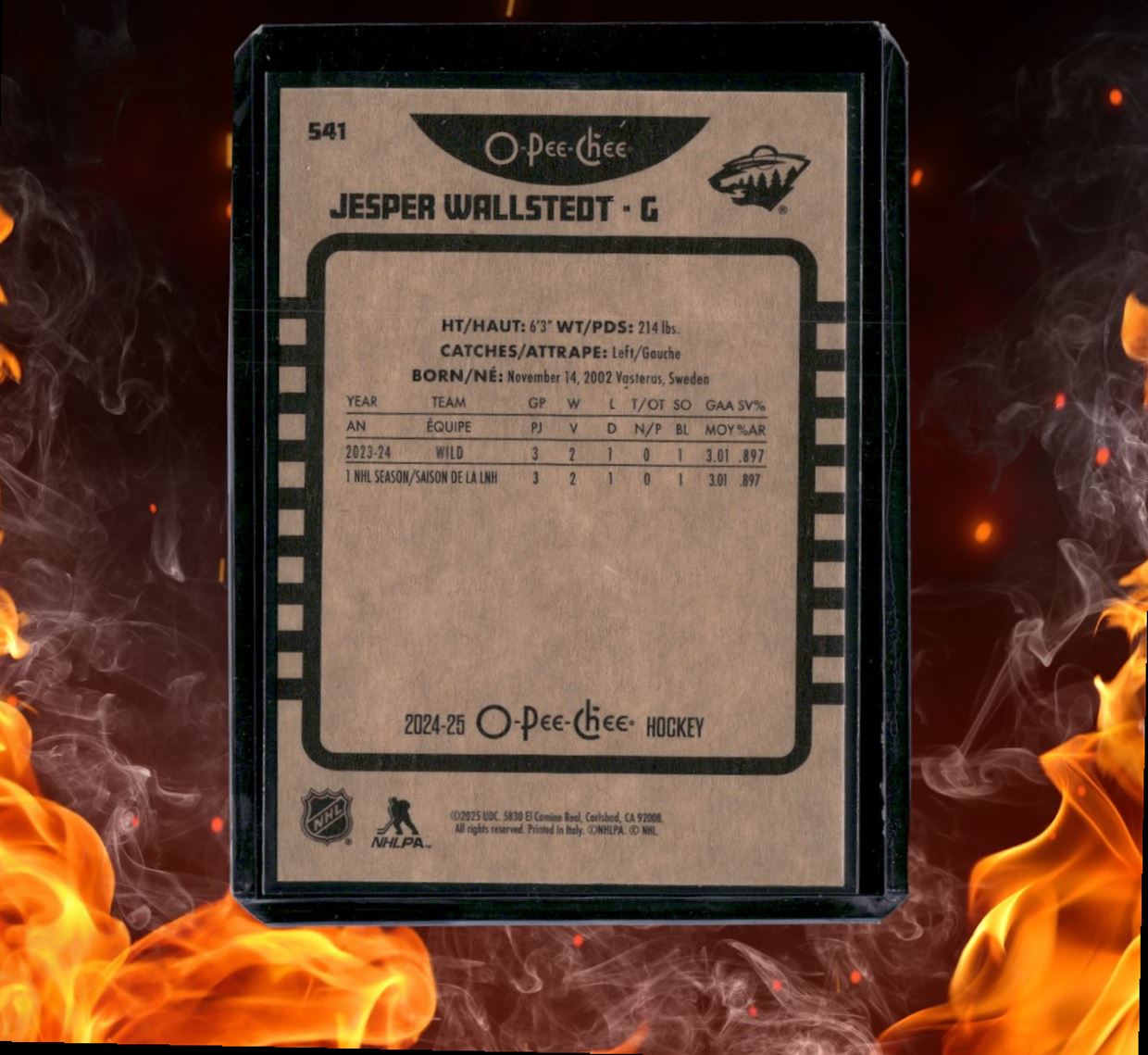 2024-25 O-Pee-Chee Jesper Wallstedt Retro Rookie #541