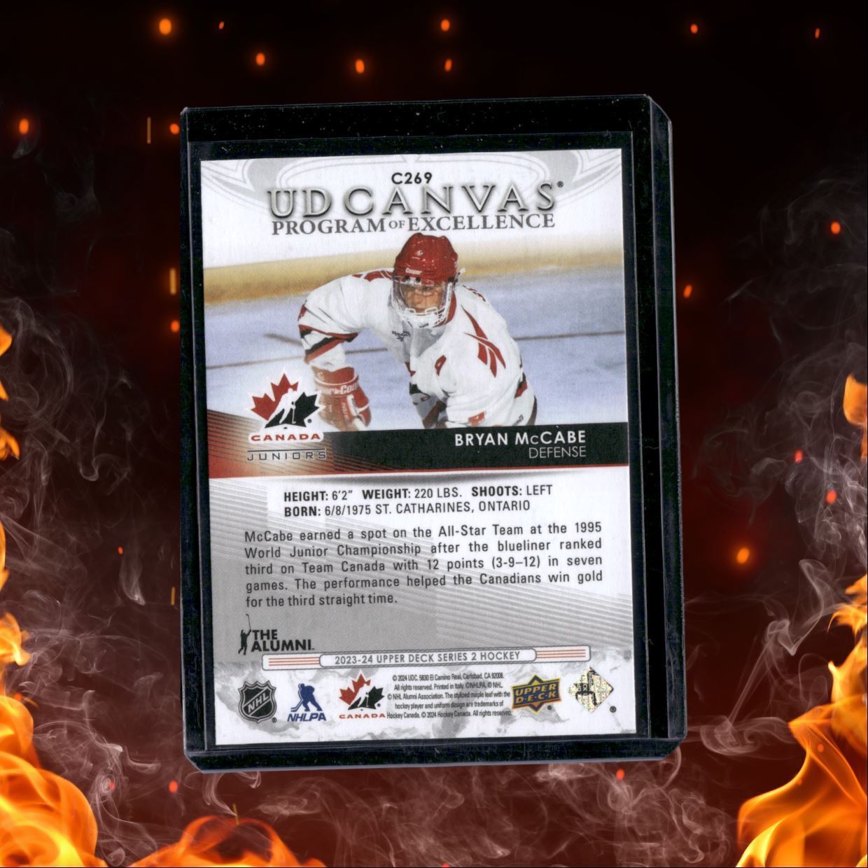 2008-09 Upper Deck Bryan McCabe Program of Excellence Canvas #FA-MC