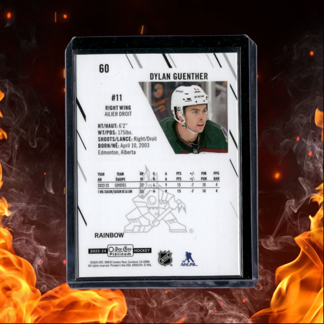 2023-24 O-Pee-Chee Platinum Dylan Guenther Rainbow #60