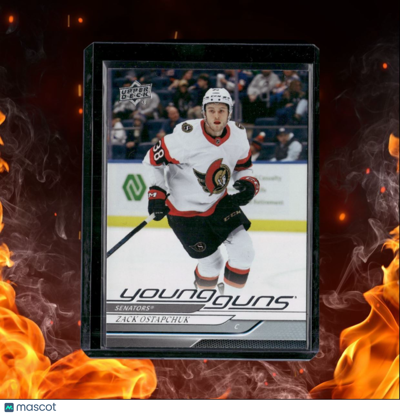 2024-25 Upper Deck Zack Ostapchuk Young Guns Rookie #209