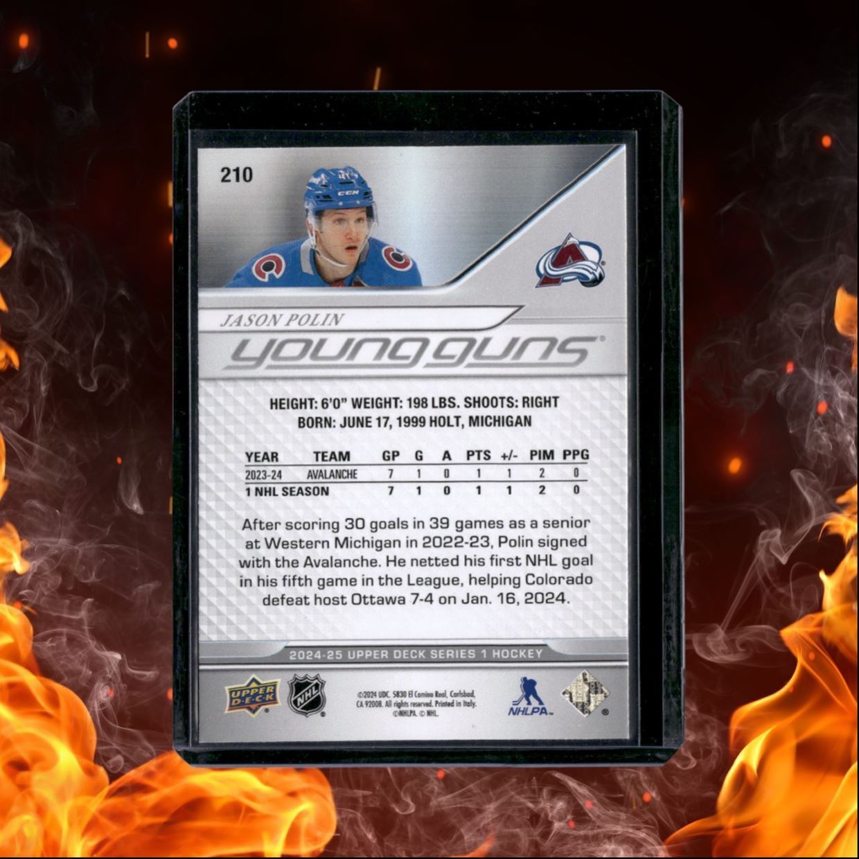 2024-25 Upper Deck Jason Polin Young Guns Rookie #210