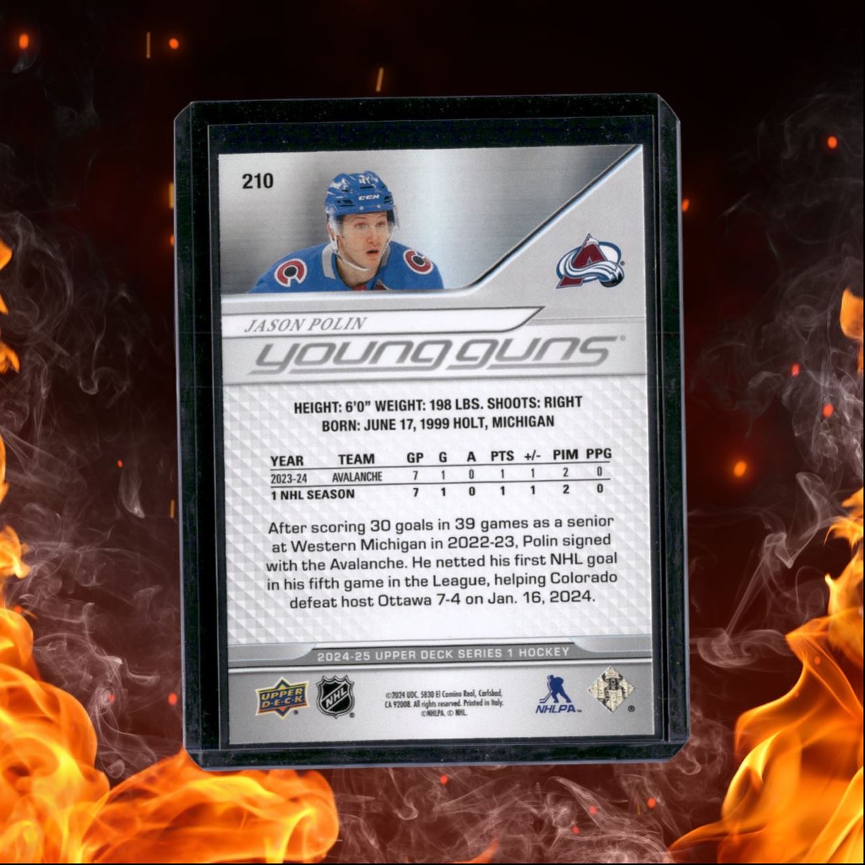 2024-25 Upper Deck Jason Polin Young Guns Rookie #210