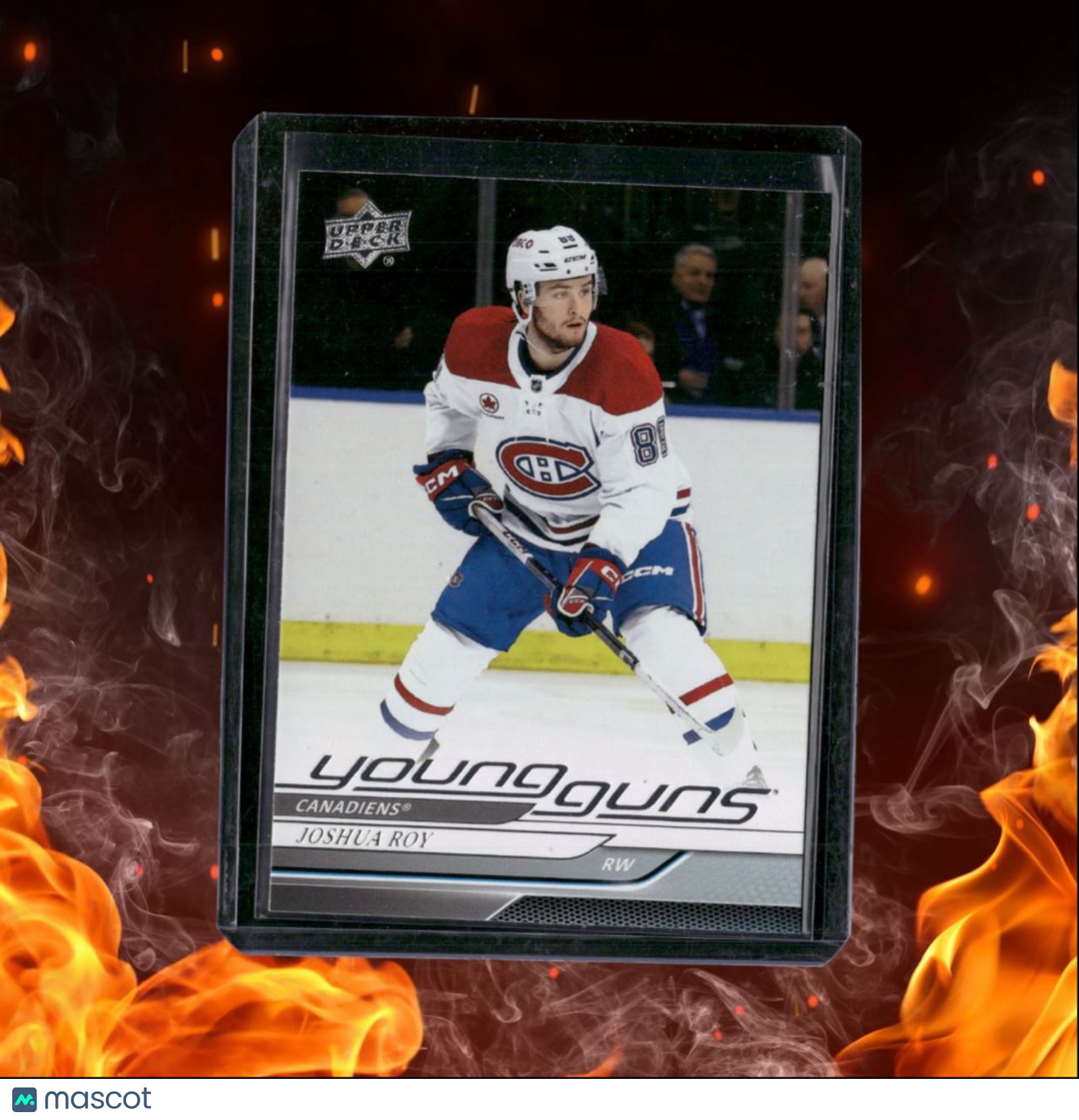 2024-25 Upper Deck Joshua Roy Young Guns Rookie #246
