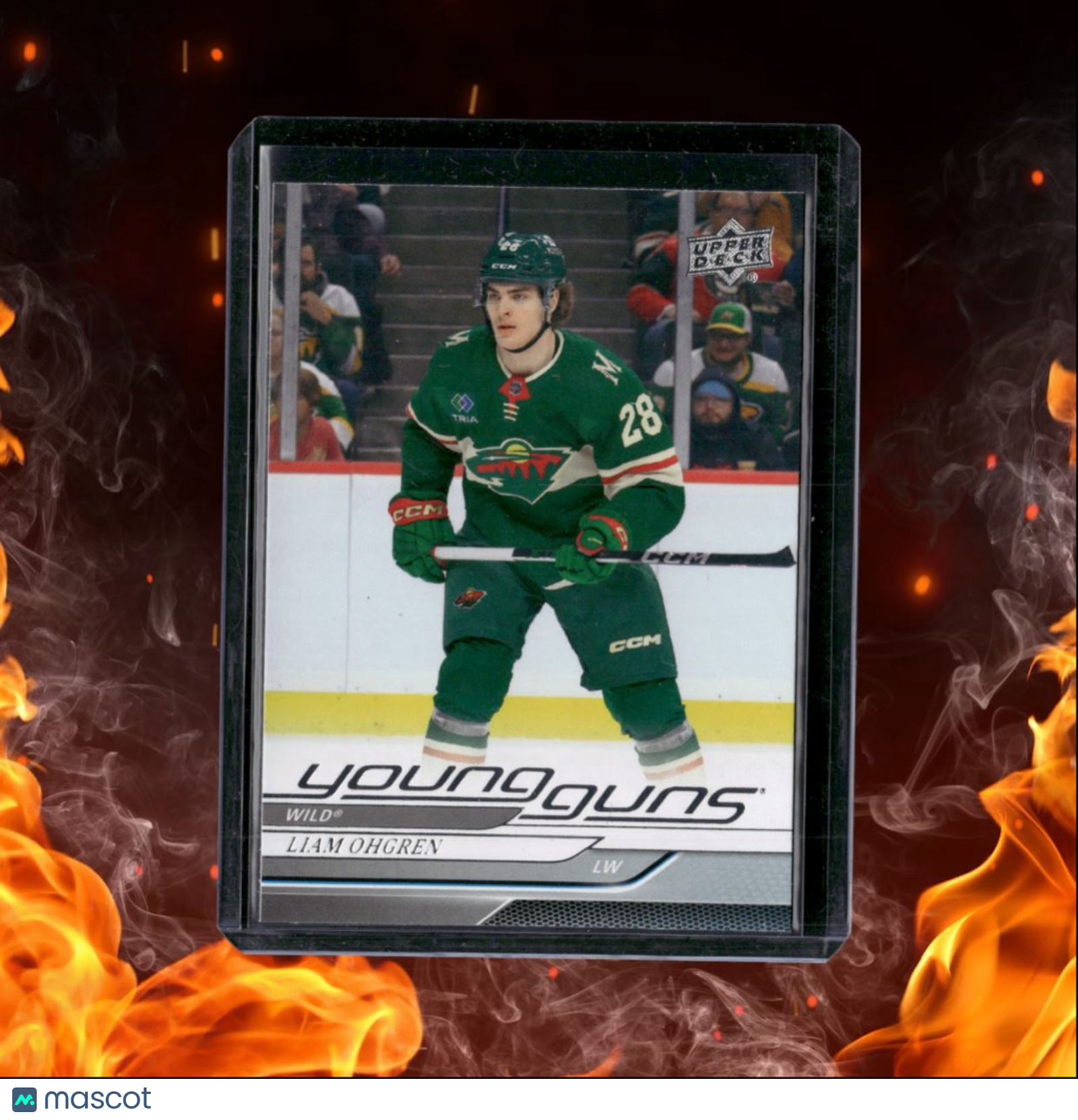 2024-25 Upper Deck Liam Ohgren Young Guns Rookie #248