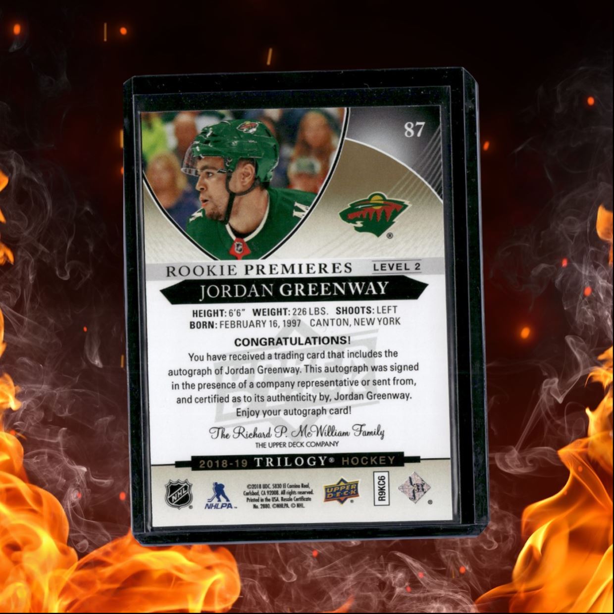 2018-19 Upper Deck Trilogy Jordan Greenway Premieres Level 2 Rookie Auto 321/399