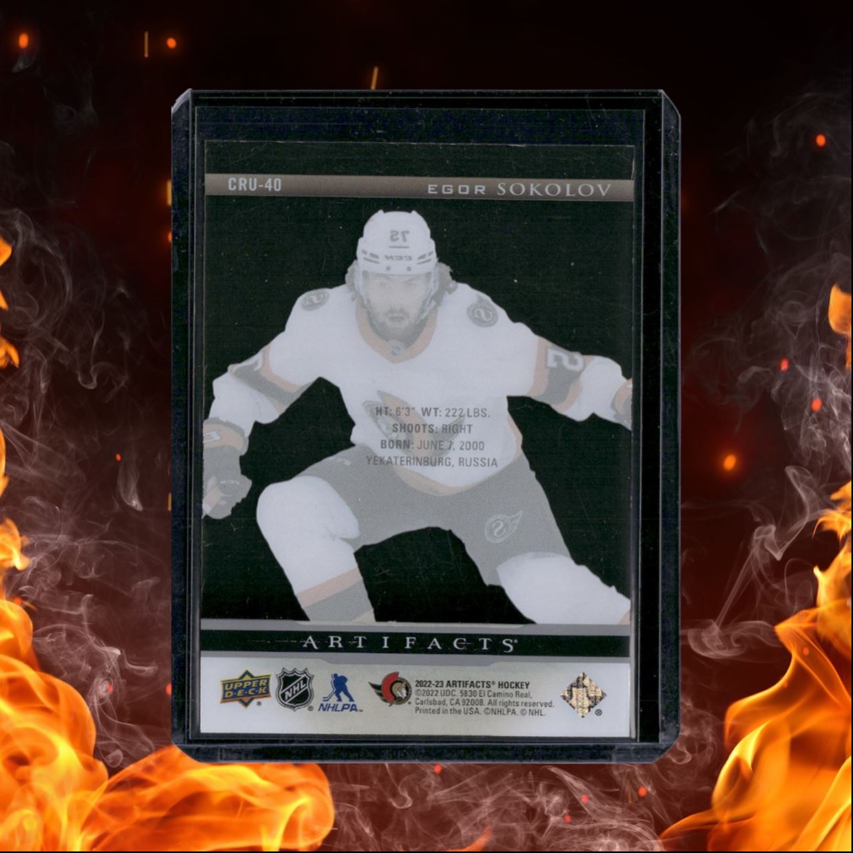 2022-23 Upper Deck Artifacts Egor Sokolov Clear Cut Rookie #CRU-40