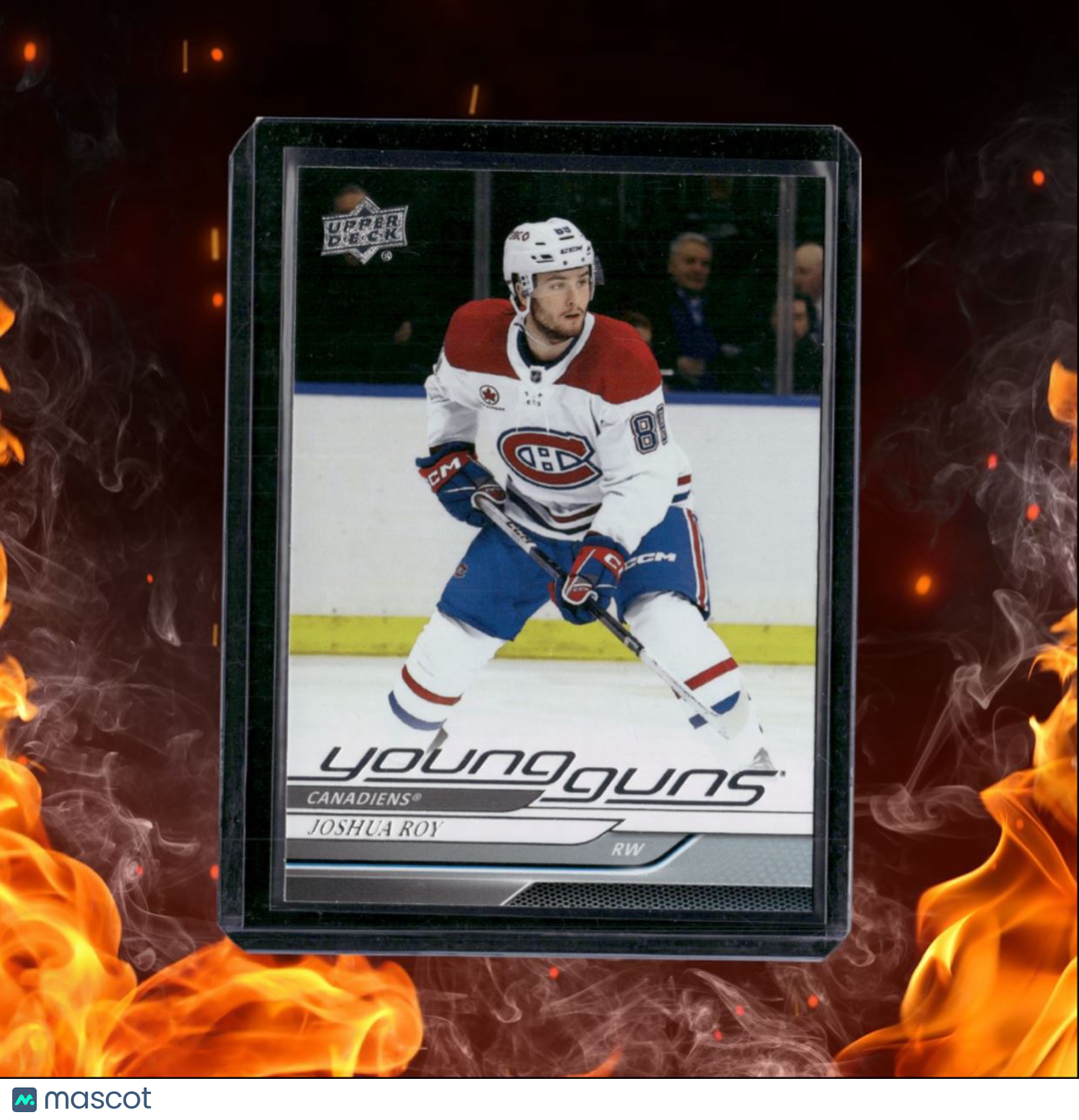 2024-25 Upper Deck Josh Roy Young Guns (B) Rookie #246