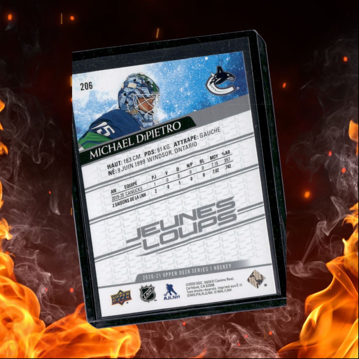 2020-21 Upper Deck Michael DiPietro Young Guns Rookie #206