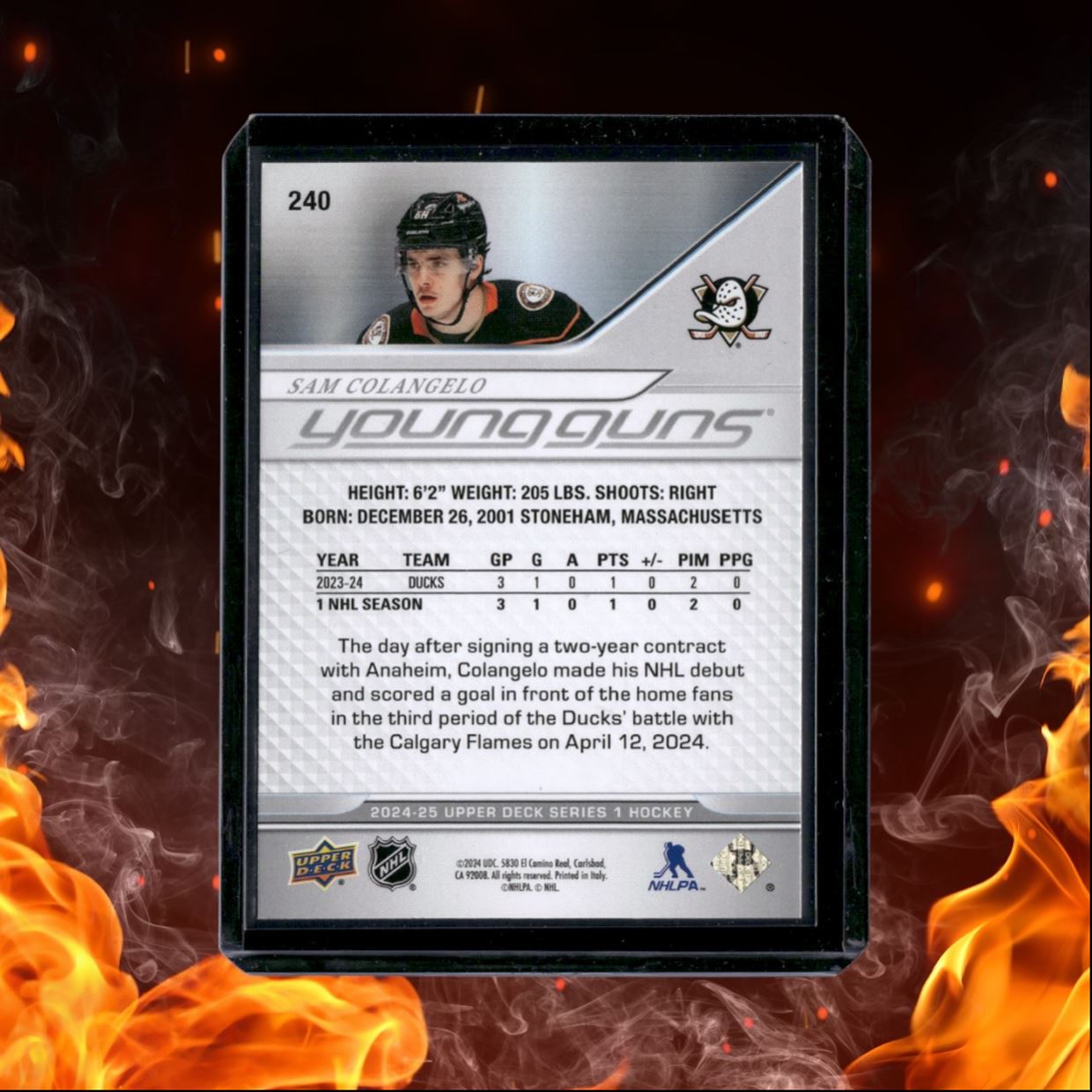 2024-25 Upper Deck Sam Colangelo Young Guns Rookie #240