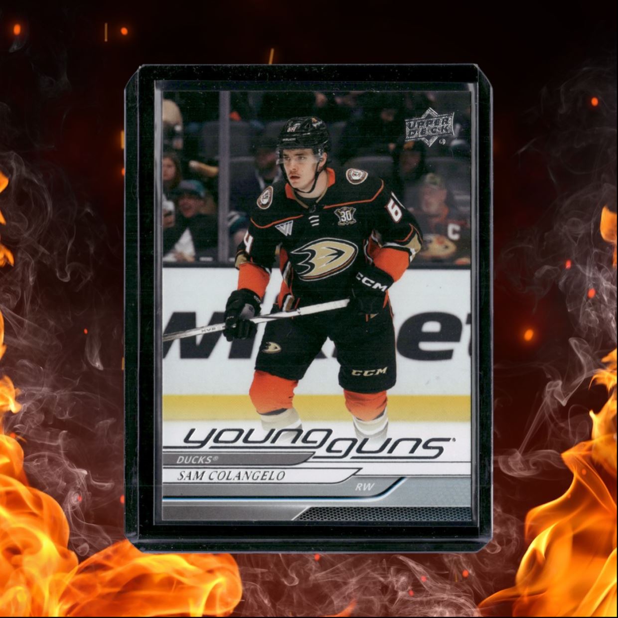 2024-25 Upper Deck Sam Colangelo Young Guns Rookie #240