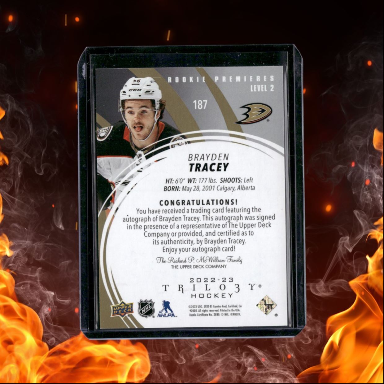 2022-23 Upper Deck Trilogy Brayden Tracey Level 2 Premieres Rookie Auto 63/99