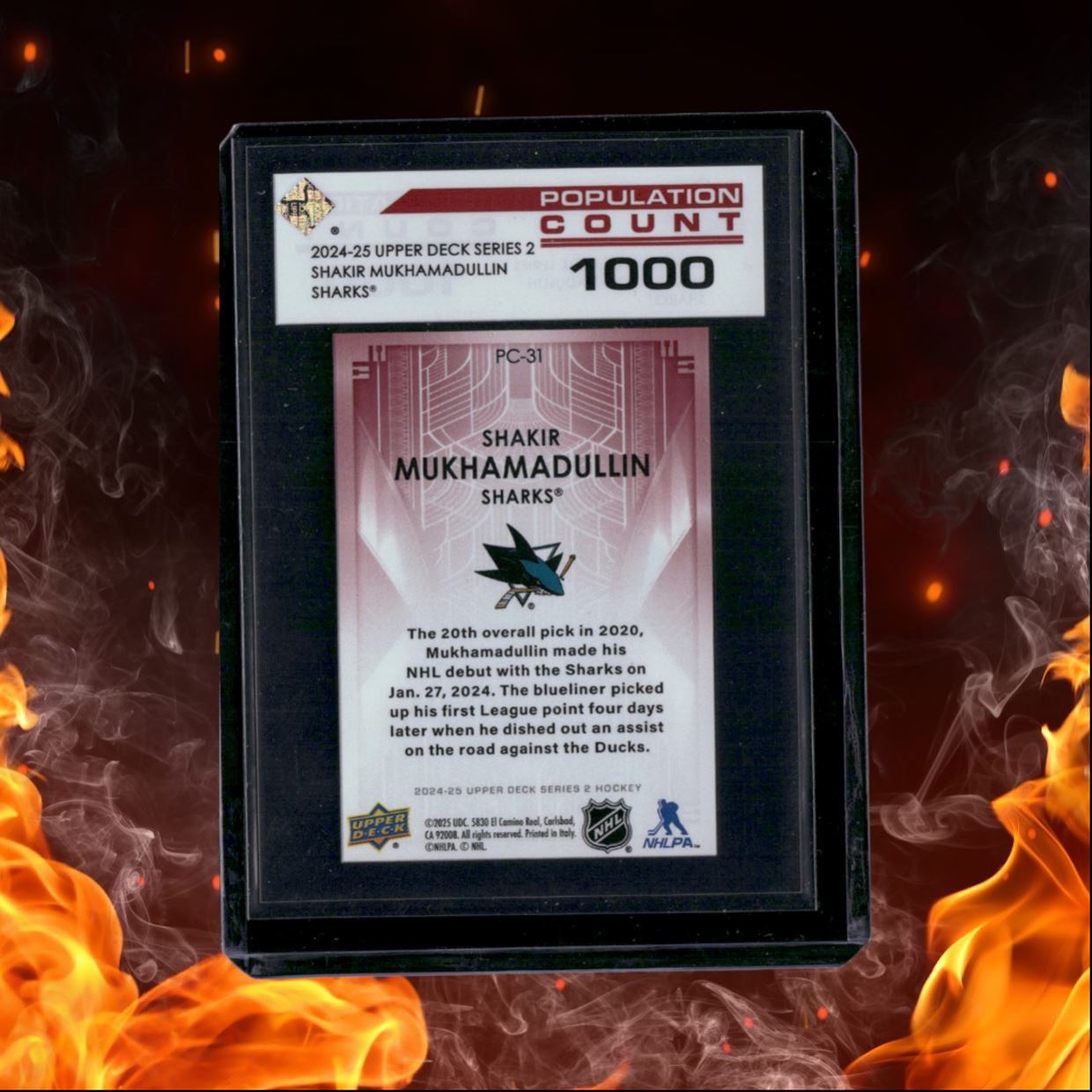 2024-25 Upper Deck Shakir Mukhamadullin Population Count 1000 Rookie /1000
