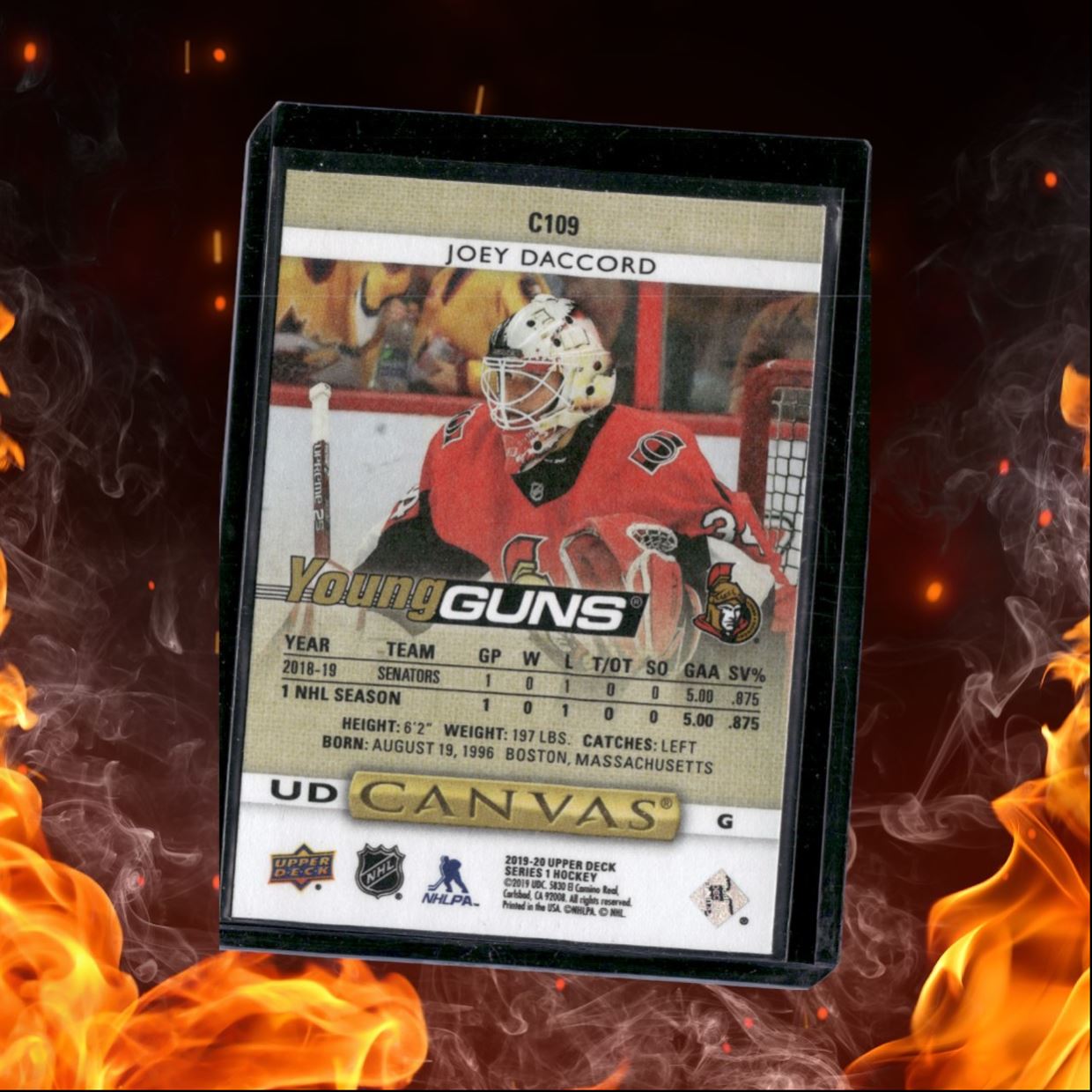 2019-20 Upper Deck Joey Daccord UD Canvas Young Guns (A) Rookie #C109