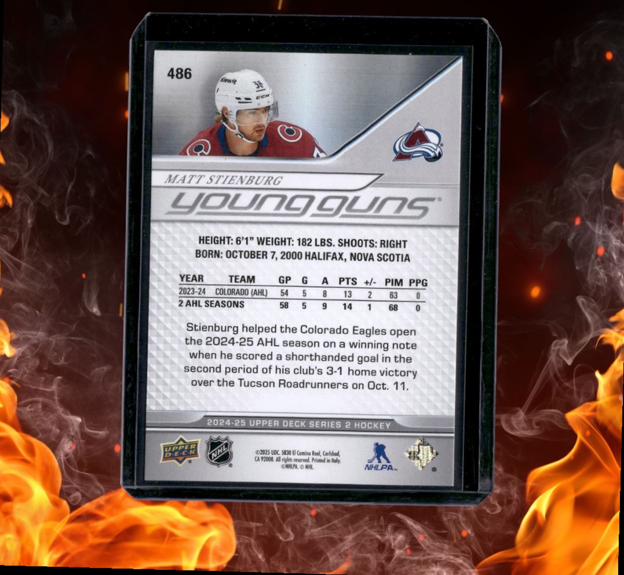 2024-25 Upper Deck Matt Stienburg Young Guns (C) Rookie #486