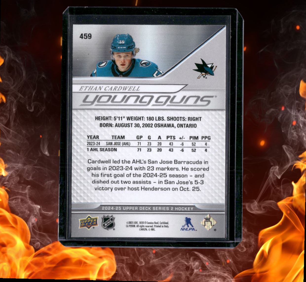 2024-25 Upper Deck Ethan Cardwell Young Guns Rookie #459