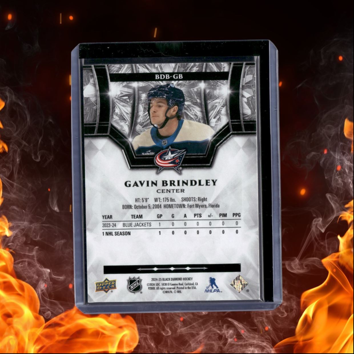 2024-25 Upper Deck Black Diamond Gavin Brindley Rookie 320/349 #BDB-GB