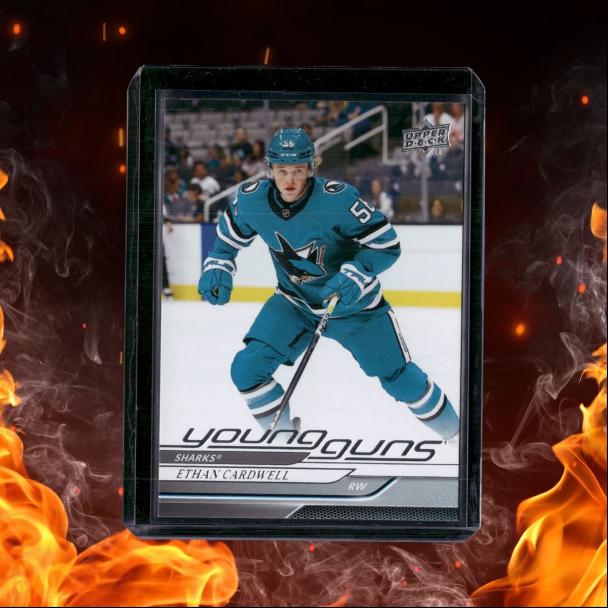 2024-25 Upper Deck Ethan Cardwell Young Guns (F) Rookie #459