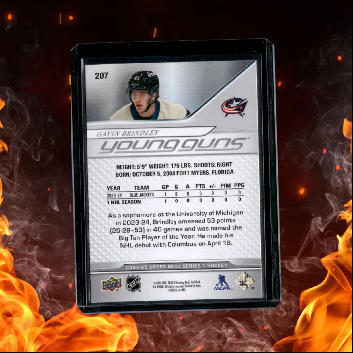 2024-25 Upper Deck Gavin Brindley Young Guns (A) Rookie #207