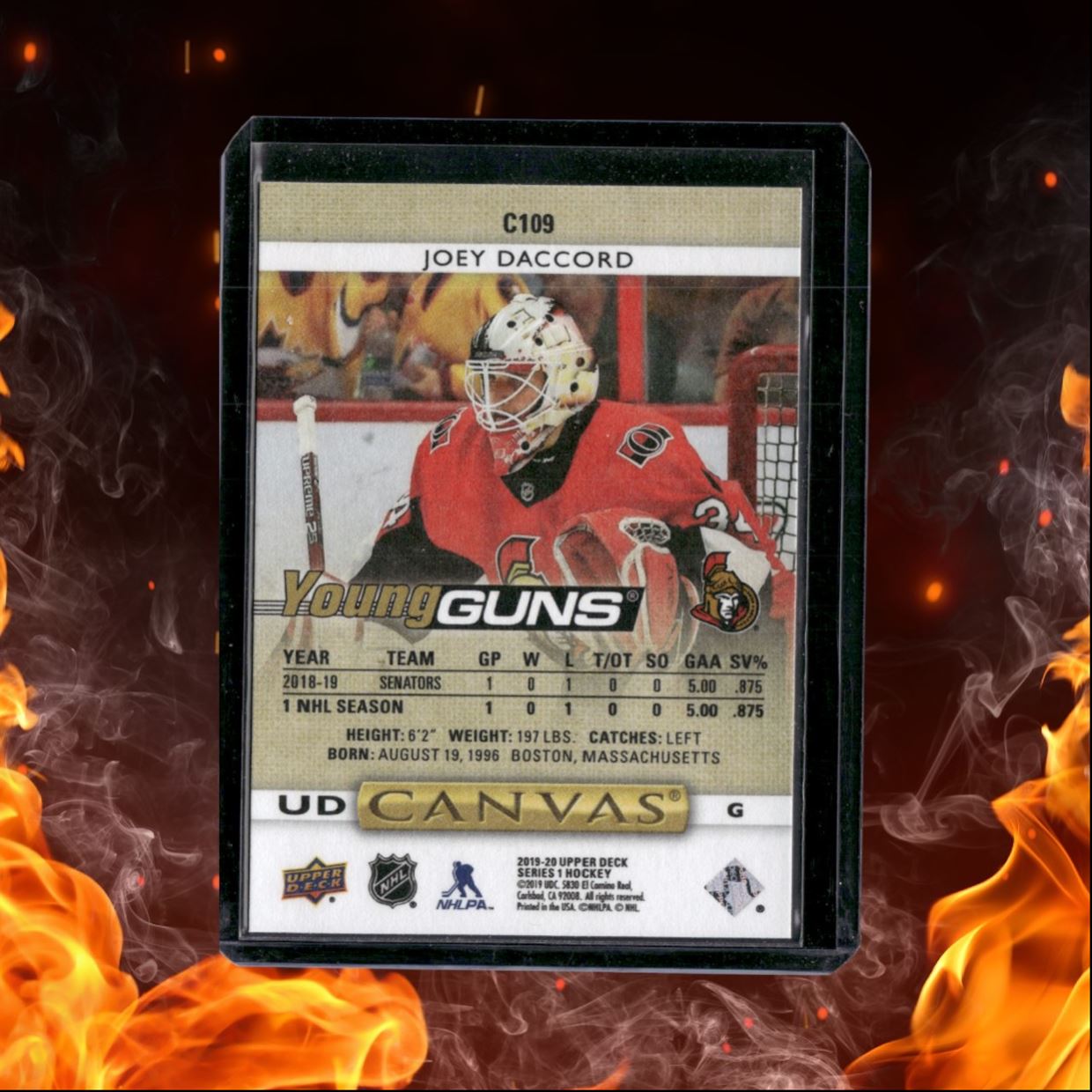 2019-20 Upper Deck Joey Daccord UD Canvas Young Guns (B) Rookie #C109