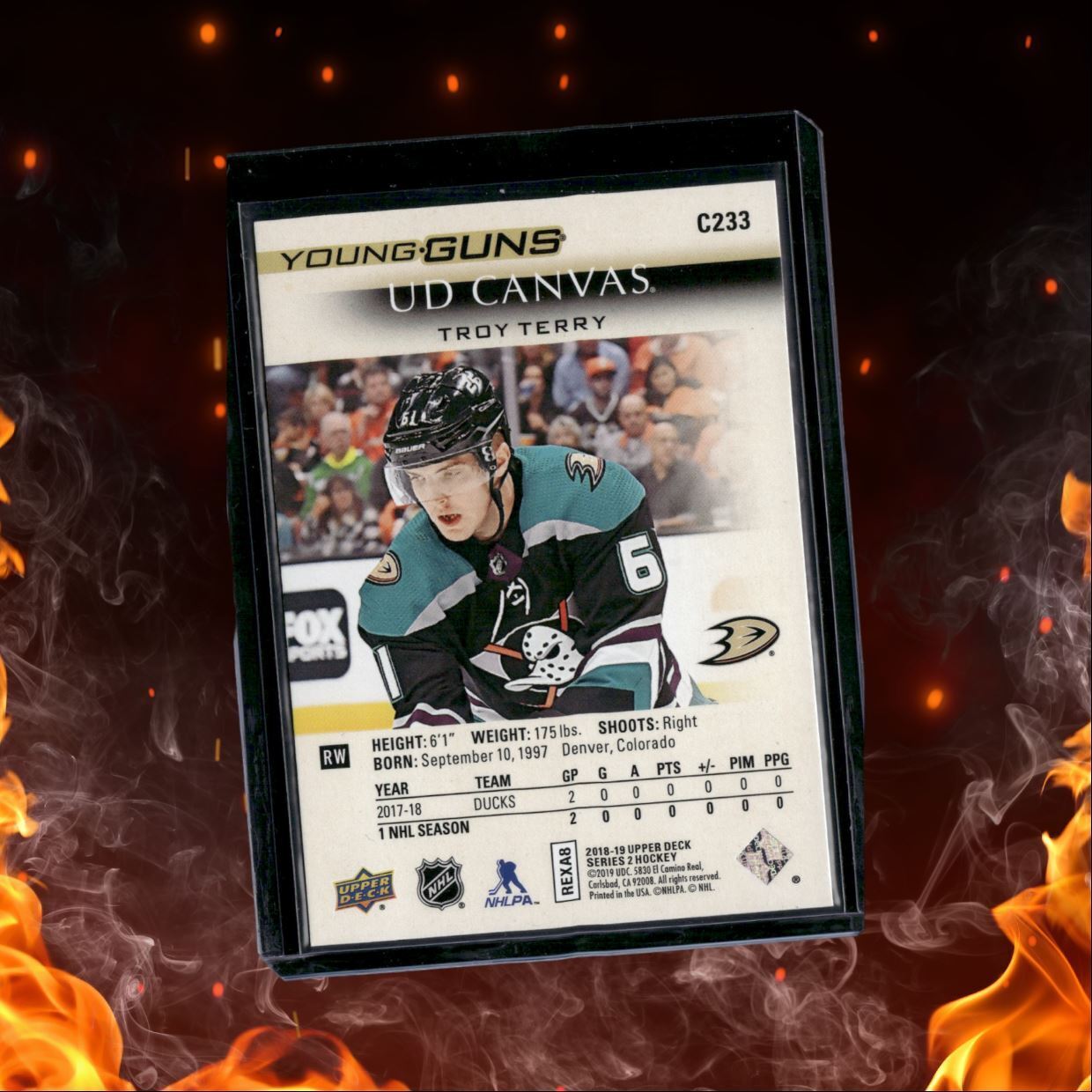 2019-20 Upper Deck Troy Terry Canvas Young Guns Rookie Auto #C233