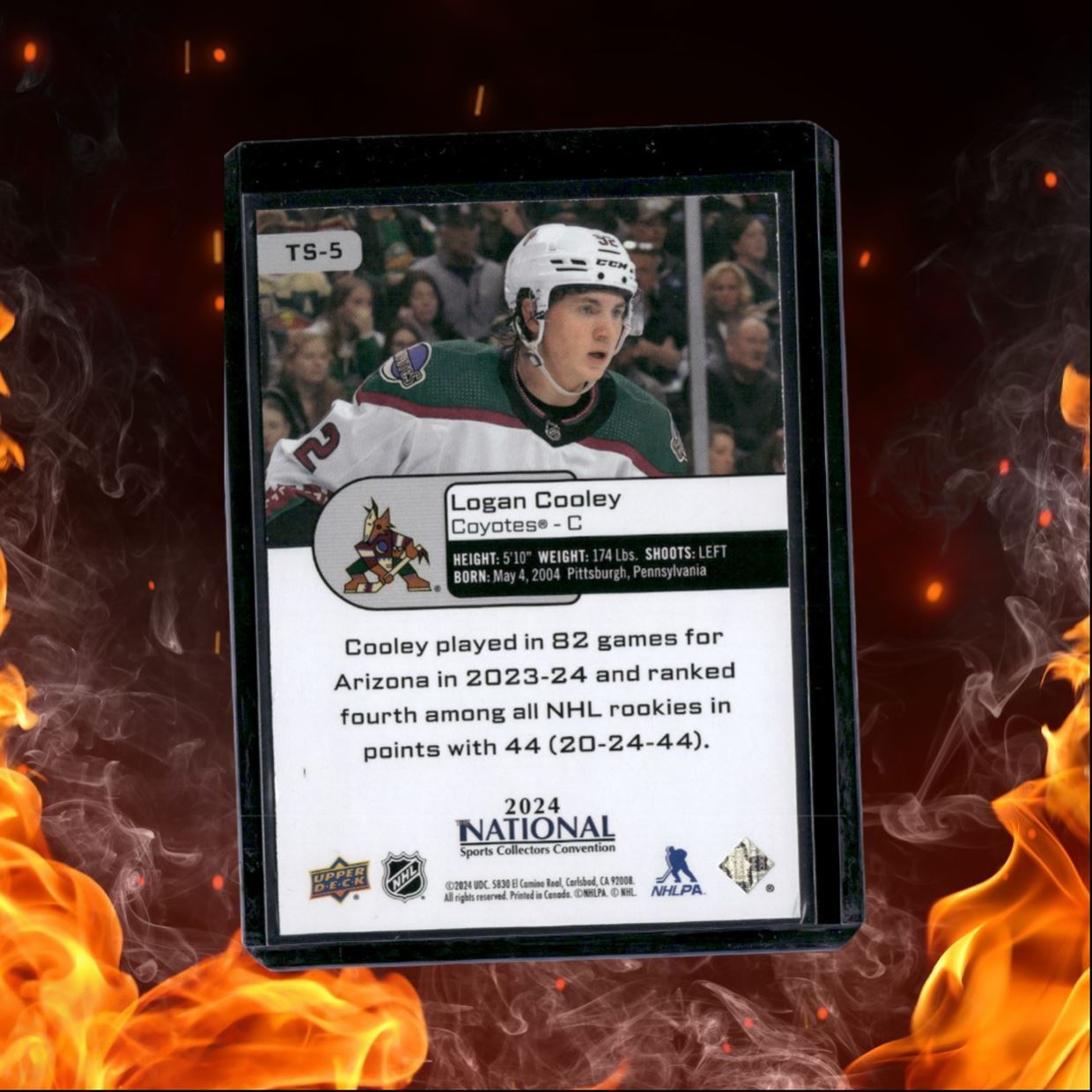 2024-25 Upper Deck The National Logan Cooley Top Shelf (C) Rookie #TS-5