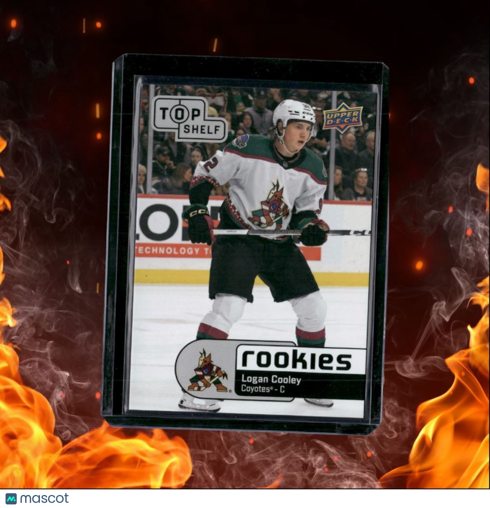2024-25 Upper Deck The National Logan Cooley Top Shelf (D) Rookie #TS-5