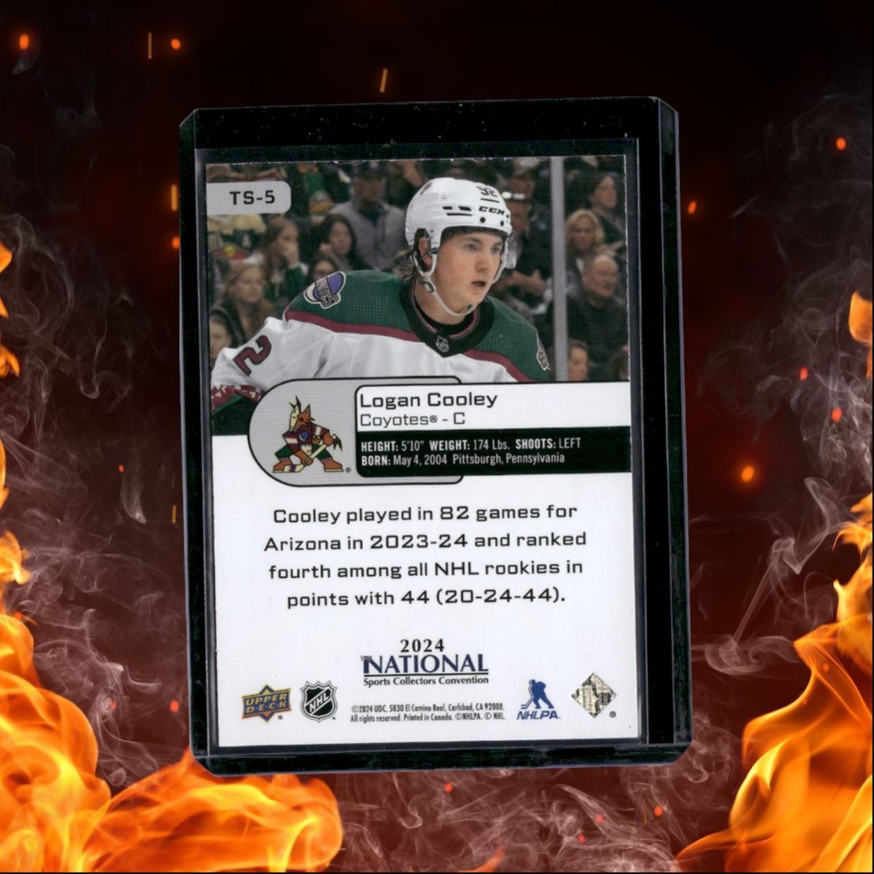 2024-25 Upper Deck The National Logan Cooley Top Shelf (B) Rookie #TS-5
