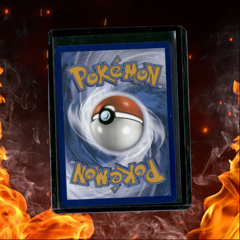2024 Pokemon Stellar Crown Terapagos EX Ultra Rare LP (B)
