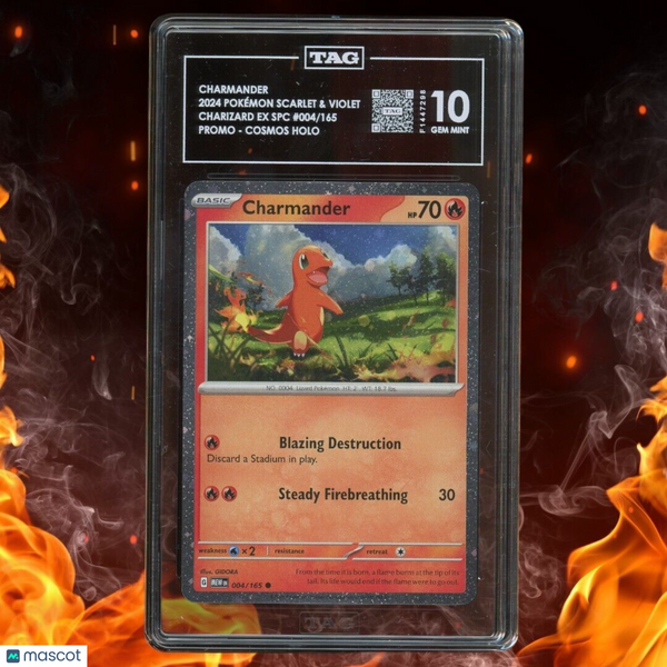 Pokemon Charizard EX SPC CHARMANDER Promo Cosmo Holo 004/165 TAG 10